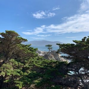 Meet your Posher, Mckenzie